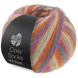 Cosy Socks Multi Stripes