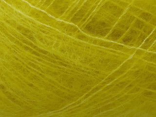 Tilia