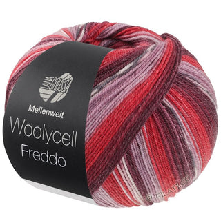 Meilenweit 100g Woolycell Freddo
