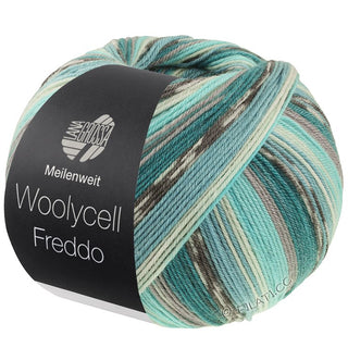 Meilenweit 100g Woolycell Freddo