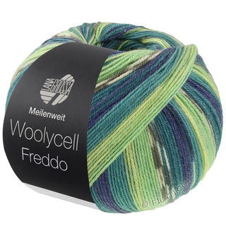 Meilenweit 100g Woolycell Freddo
